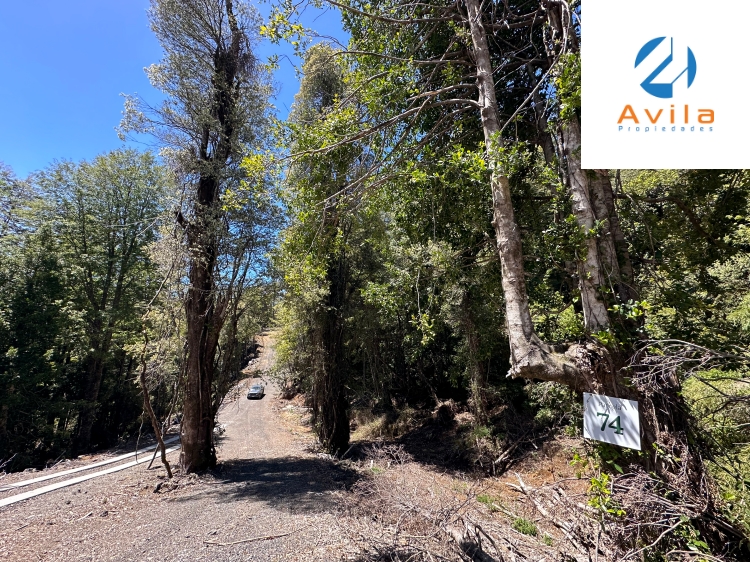 PUCÓN parcela en venta Condominio BOSQUE PUCÓN de los Nevados COD.VTAP134