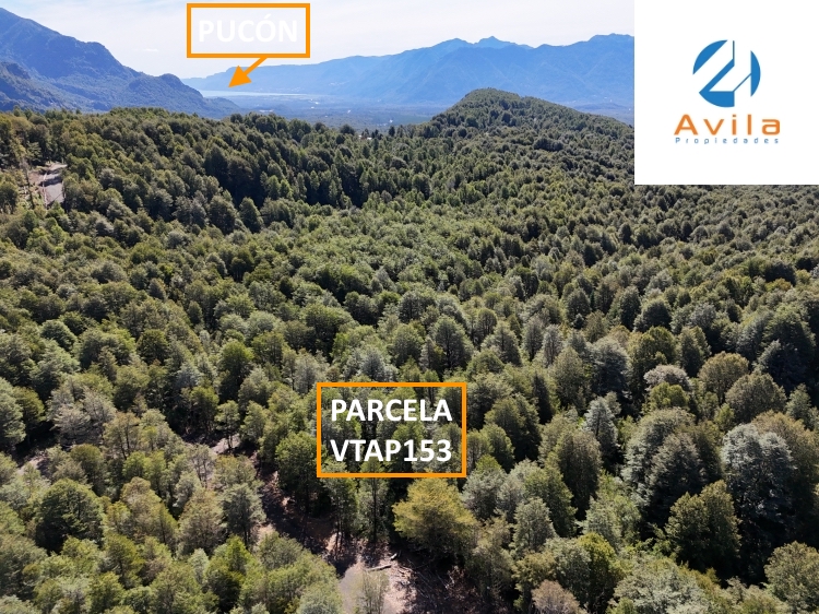 PUCÓN parcela en Condominio BOSQUE PUCÓN de los Nevados COD.VTAP153