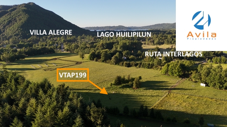 Villarrica sector Villa Alegre a 19 Km de Villarrica parcela de 5.900m2 COD.VTAP199