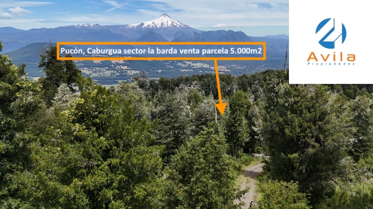 Pucón, Caburgua sector la barda venta parcela 5.000m2 COD.VTAP208