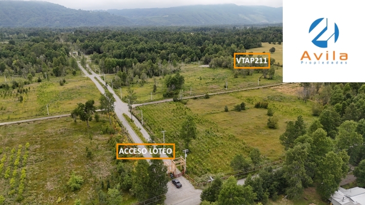VILLARRICA Chucauco Schleyer parcela en loteo Los Castaños 5.000m2 COD.VTAP211