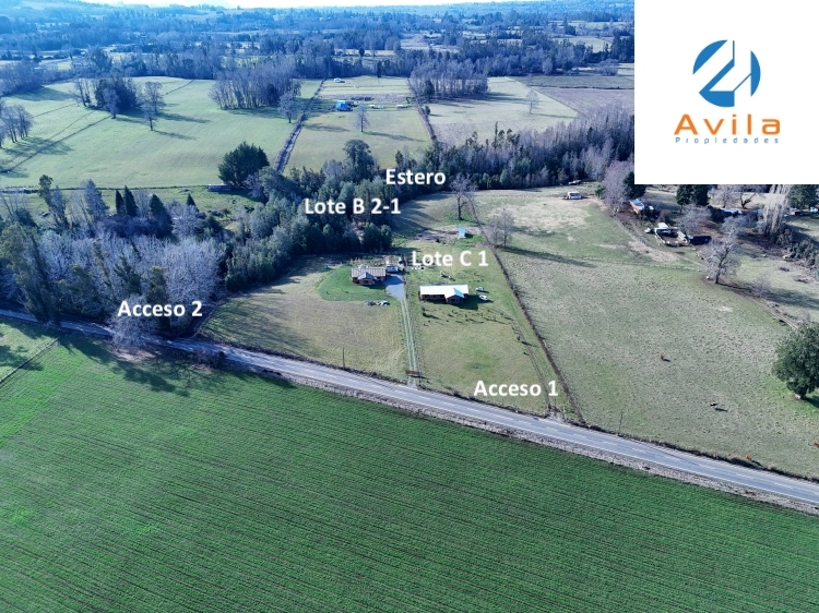Pitrufquen sector Mune alto 2 lotes que suman 2,235has con casa acceso directo a ruta S 593 Cod.VTAP234