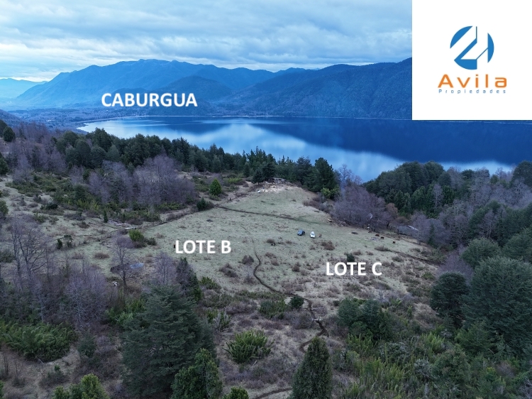 PUCON Tinquilco en venta parcelas de 5.000m2 con rol propio COD.VTAP240