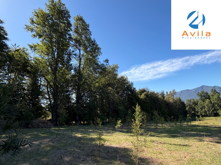 PUCÓN venta parcela en sector los calabozos COD.VTAP265