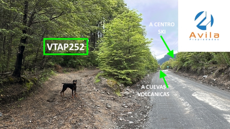 Pucón camino al centro de Ski parcela de 5.000m2 COD.VTAP252
